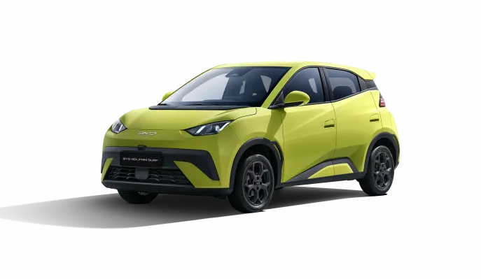 BYD DOLPHIN SURF